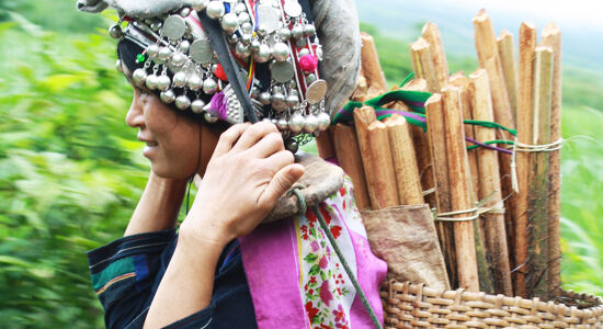 Muang Sing Ethnic Red Dzao Wom